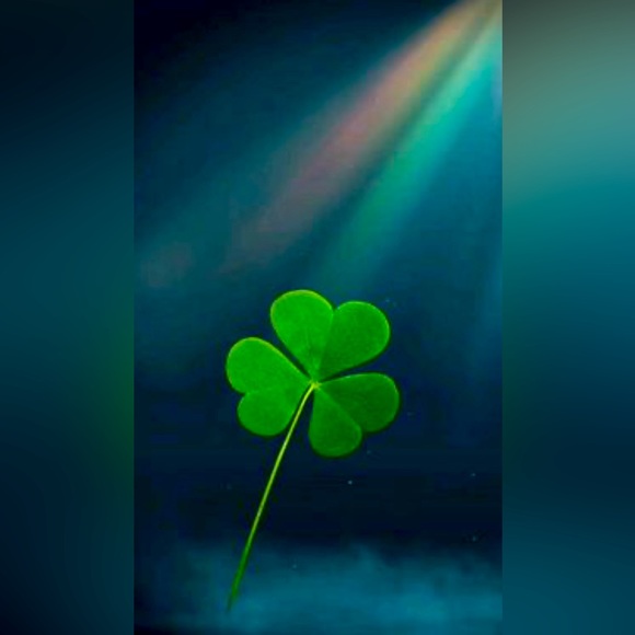 Meet your Posher, Kris! - Picture 1 of 1